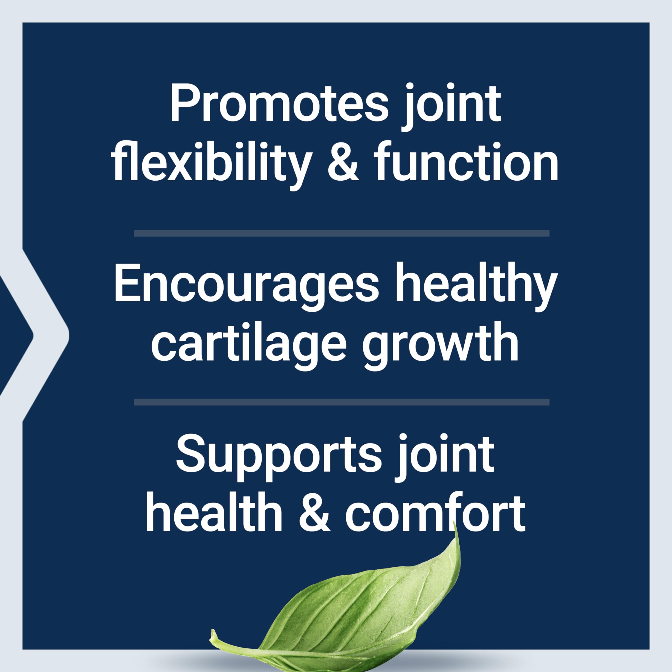 Life Extension NT2 Collagen™, Joint Health Supplement for Joint Comfort & Mobility, Gluten-Free, Non-GMO, 1 Daily, 60 Small Capsules Life ExtensionBuy Supplements Australia