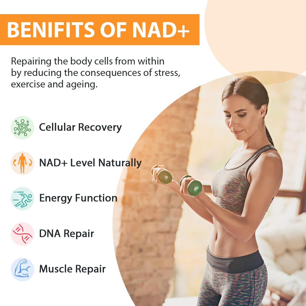 Orgabay Liposomal NAD+ Supplement 500 mg, High Absorption, Boost NAD+ with TMG 250 mg, Actual NAD Plus More Efficient Than Nicotinamide Riboside, Support Cellular Energy, Healthy Aging | 240 Softgels OrgabayBuy Supplements Australia