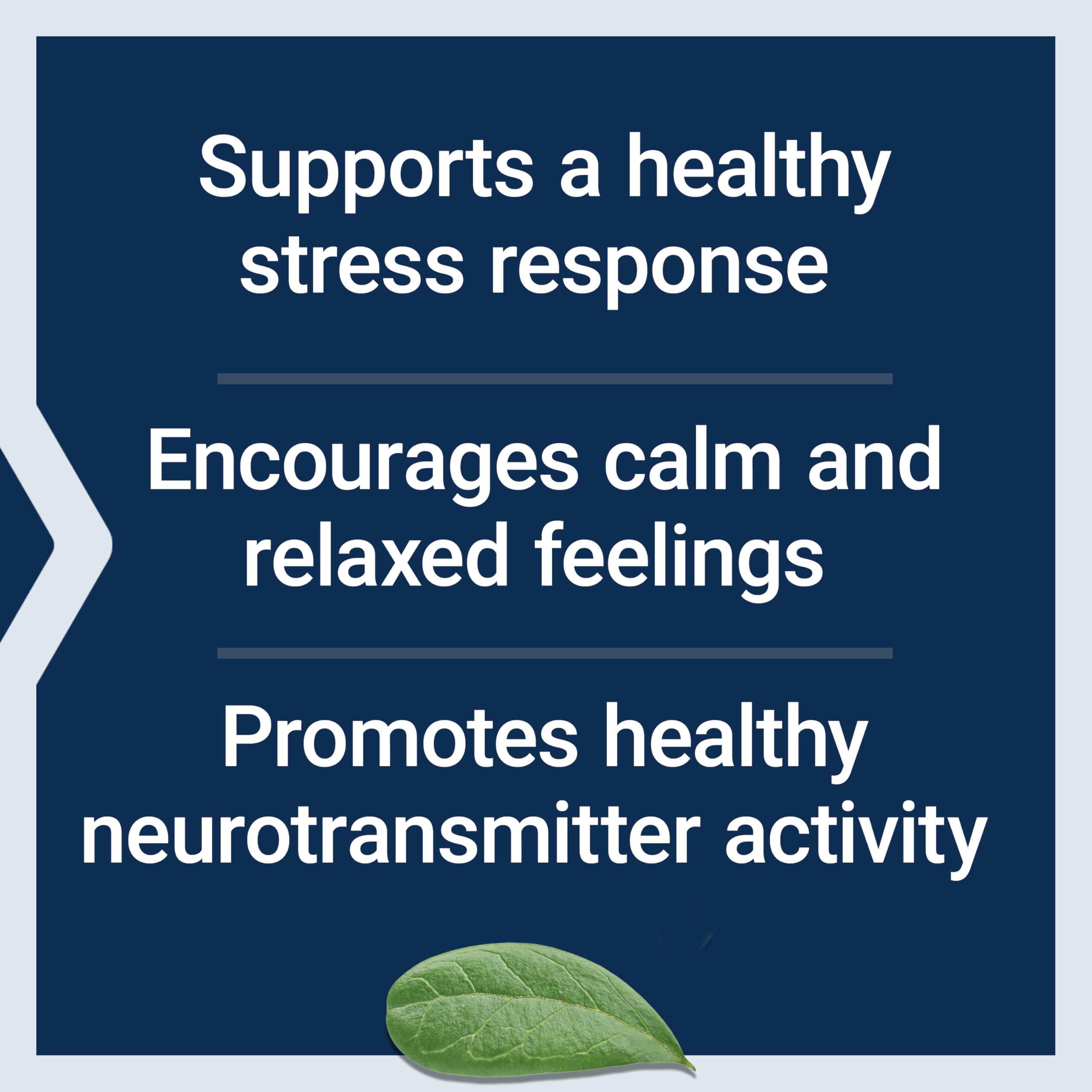 Life Extension Calm-Mag, Magnesium Acetyl taurinate, Daily Stress Management Formula, Supports Calmness and Relaxation, Gluten-Free, Non-GMO, Vegetarian, 30 Capsules Life ExtensionBuy Supplements Australia