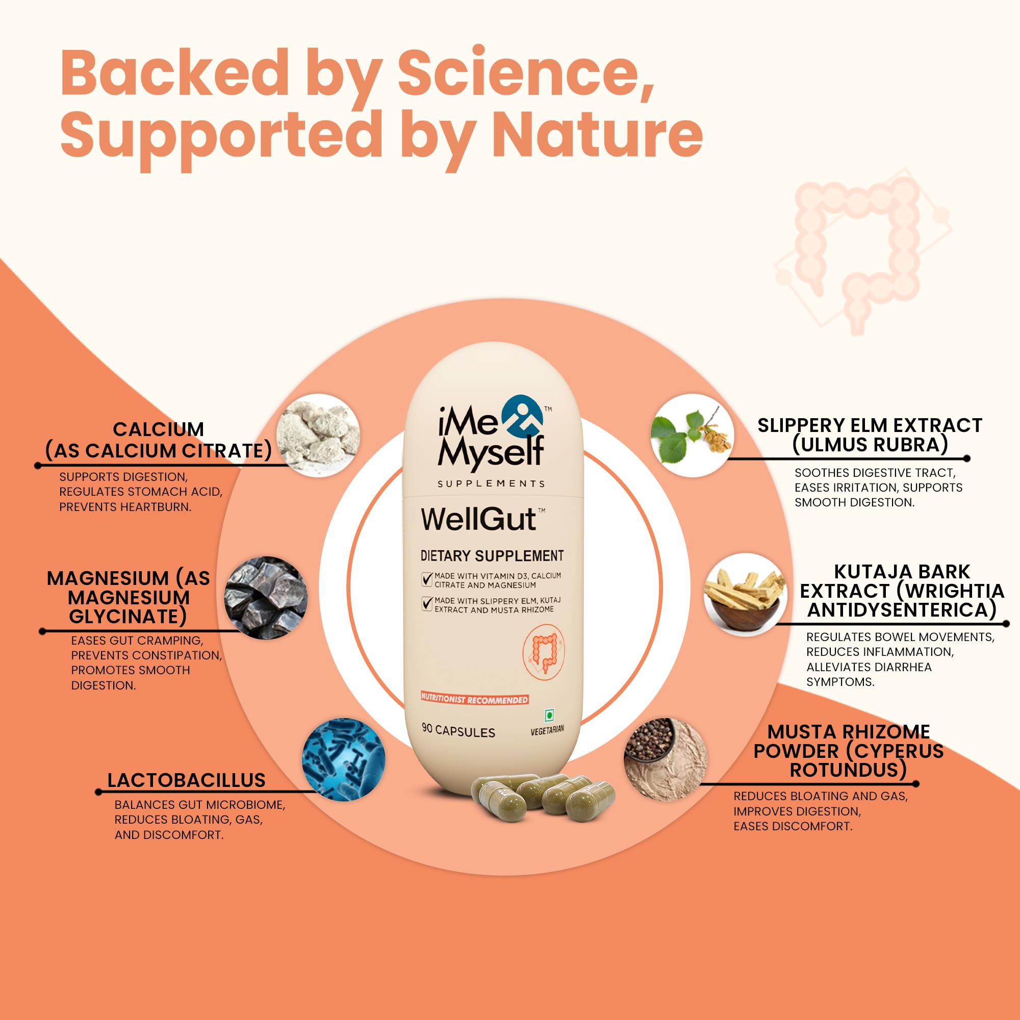 iMeMyself WellGut Daily Herbal Supplement | Traditional Herbs with Minerals & Probiotics 90 Vegan Capsules iMeMyselfBuy Supplements Australia