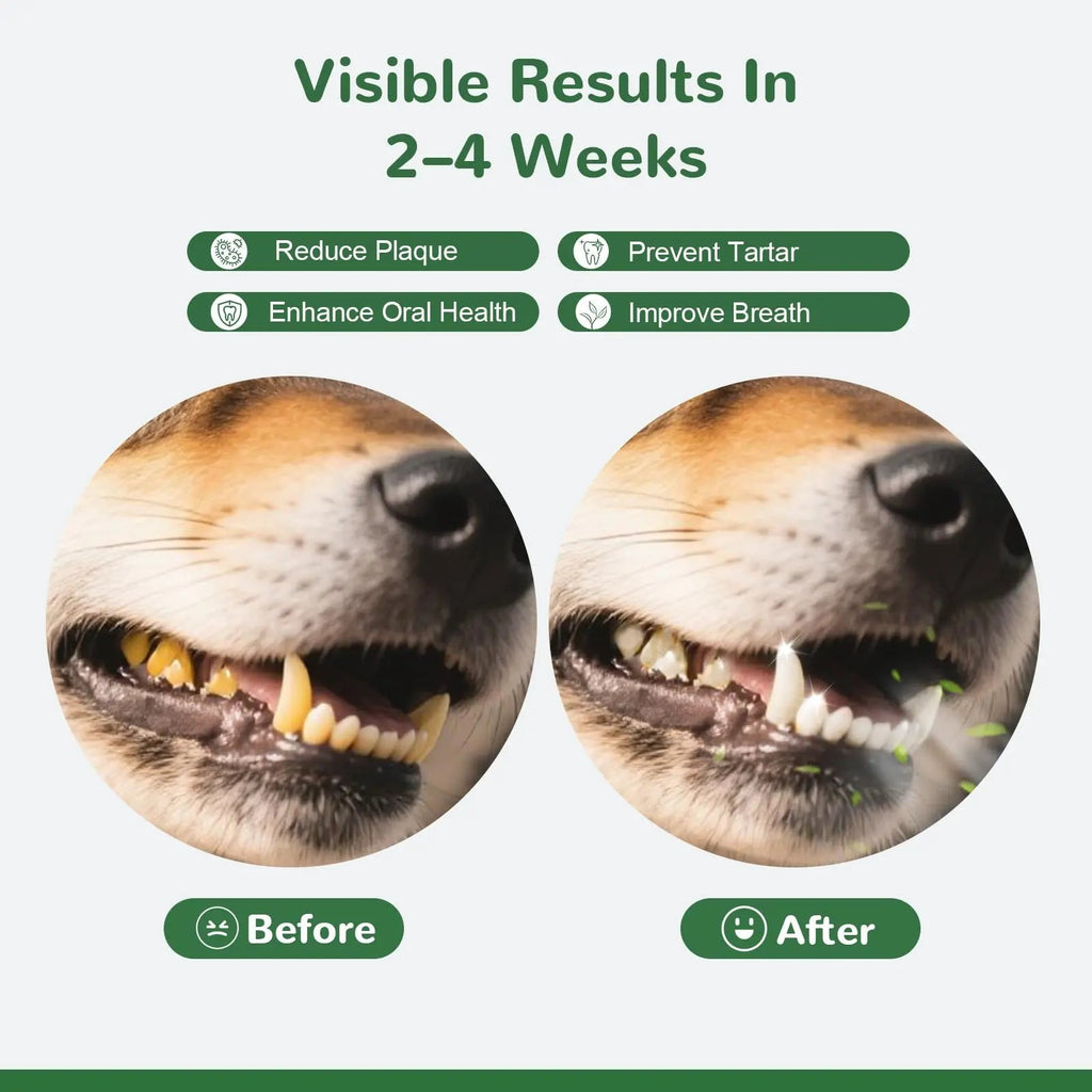 Vetriuntrix Dog Teeth Cleaning Powder, Dental Powder for Dogs Teeth Tartar Remove & Plaque Off, Fresh Breath for Dogs with Natural Plants Blend, Enzymes and Postbiotics, 80g VetriuntrixBuy Supplements Australia