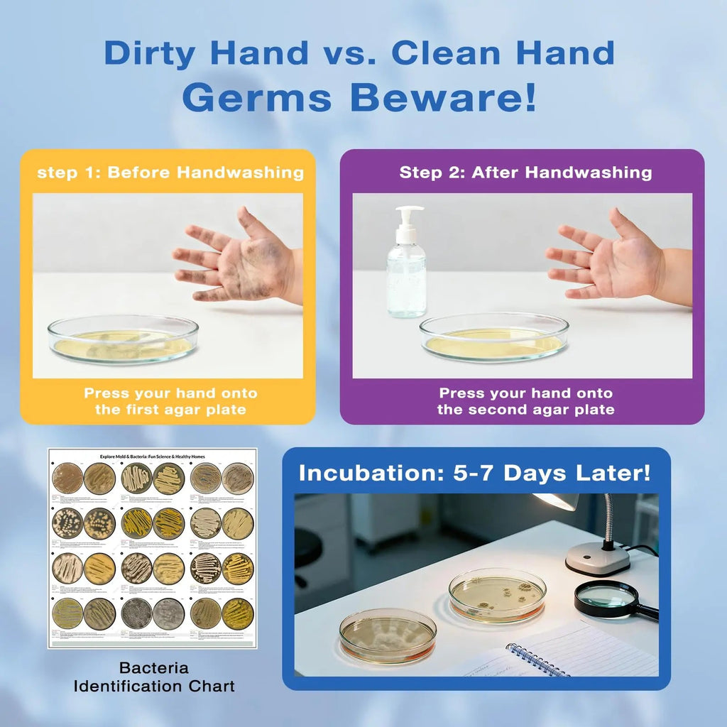 Giant Microbiology Bacteria Science Kit for Kids:2 XL 150mm Prepoured Nutrient Agar Plates, Petri Dishes with Agar & Colony Characteristics Poster for School Projects & Educational Gifts MosynexBuy Supplements Australia