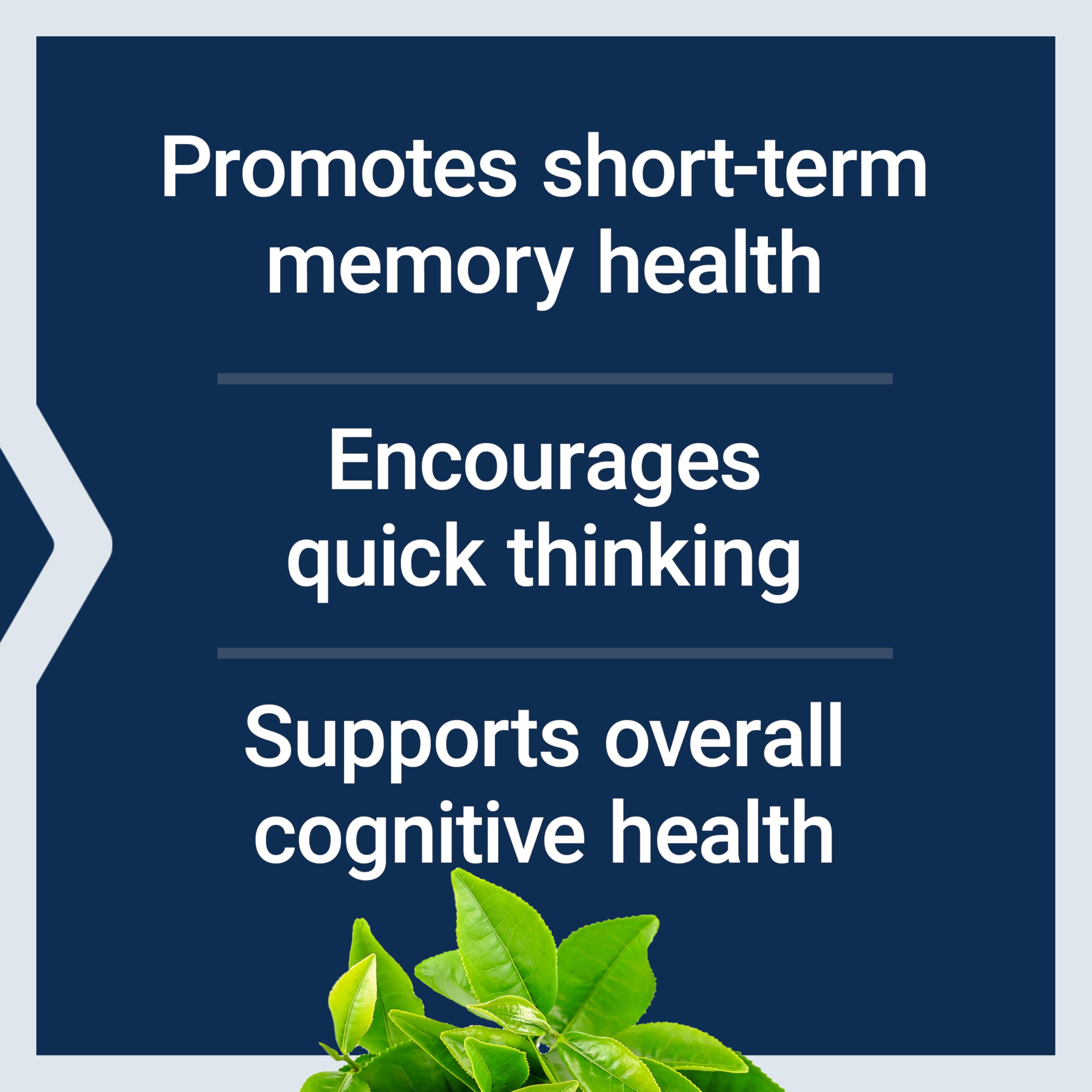 Life Extension Neuro-Mag Magnesium L-Threonate, Memory Health, Quick Thinking, Cognitive Health Support, Vegetarian, Non-GMO, 90 Vegetarian Capsules (144 mg from 2000 mg Magtein magnesium L-threonate Life Extension buy supplements Au