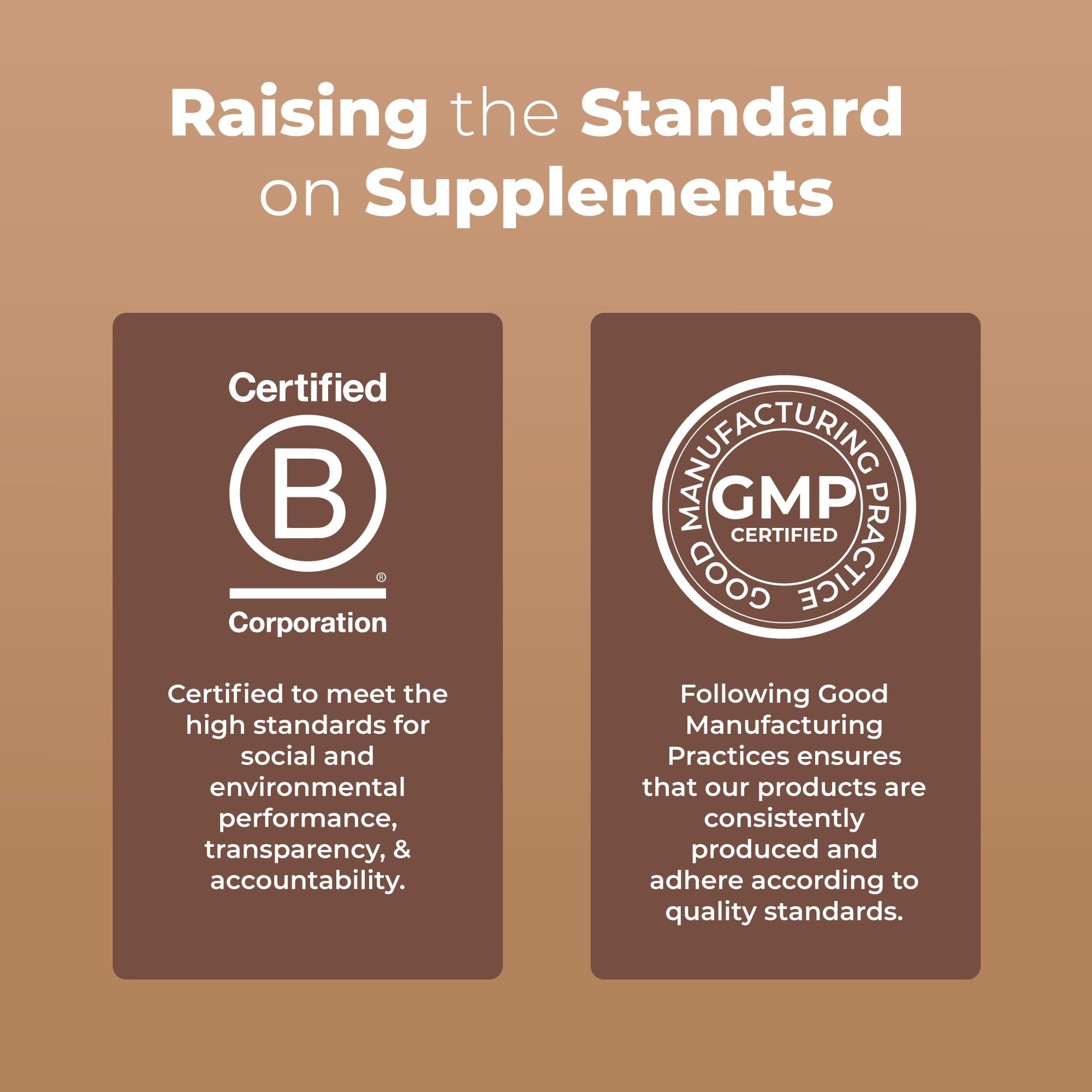 MaryRuth's Mushroom Complex | Lion's Mane | Turkey Tail | Reishi Mushroom | Shiitake Mushrooms | Alcohol Free | Mushroom Blend | Organic | Non-GMO | Vegan | 30 Servings MARYRUTH'SBuy Supplements Australia
