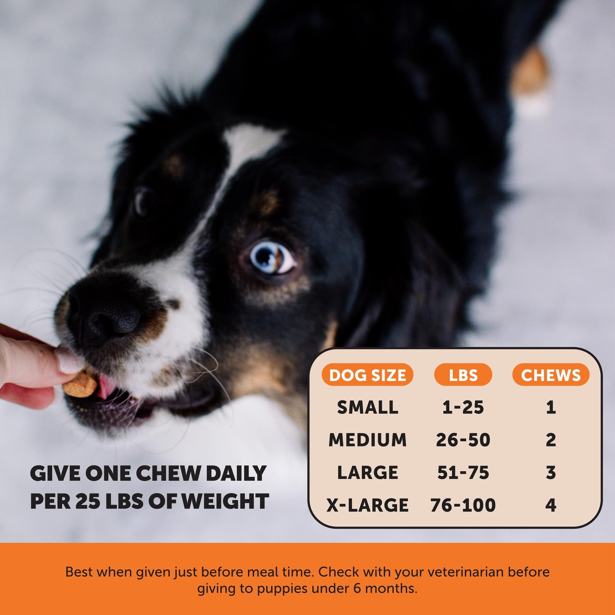 Hemp Hip & Joint Supplement for Dogs - Hemp Oil & Powder - Glucosamine Chondroitin for Dogs, Turmeric, MSM, Green-Lipped Mussel, Supports Mobility, May Reduce Discomfort (Bacon) Pet HonestyBuy Supplements Australia