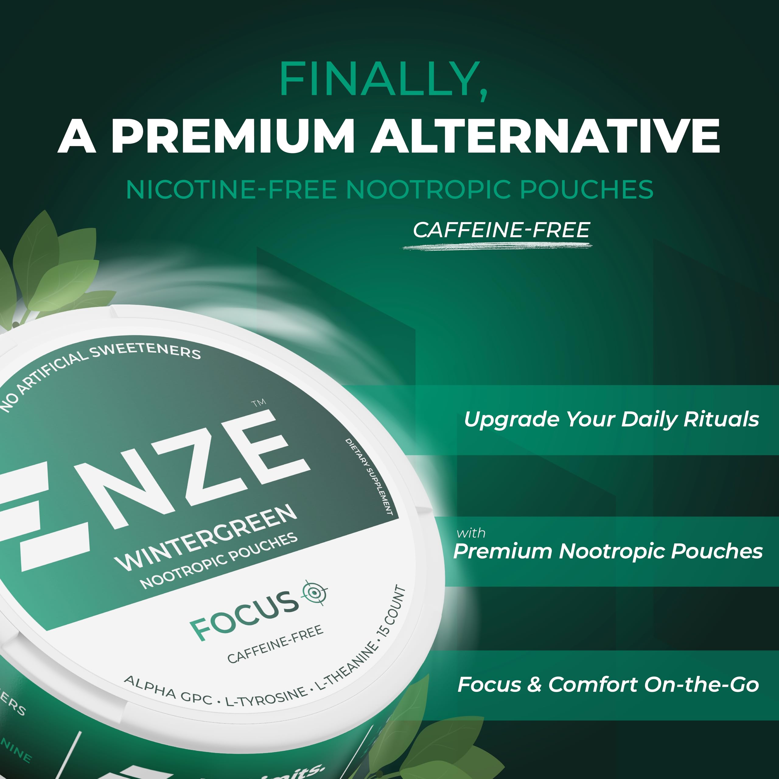 NZE Caffeine Free Nootropic Pouches (Wintergreen) - Nootropic Pouches with Alpha GPC, L-Tyrosine & L-Theanine - No Sugar or Artificial Sweeteners - 15 Pouches Per Can - 5 Pack NZEBuy Supplements Australia
