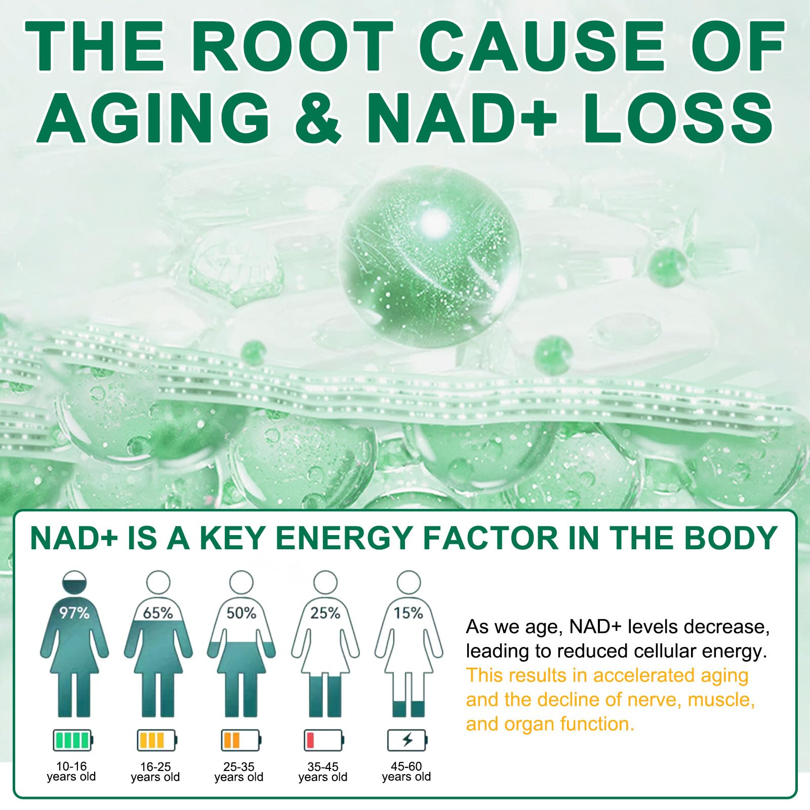 NAD Supplement 120 Capsules, Liposomal Nicotinamide Riboside, Resveratrol, Quercetin, NAD Nicotinamide Riboside Resveratrol 910mg for Women & Men, NAD Supplement for Anti Aging and Cell Regeneration RHBESTOKBuy Supplements Australia