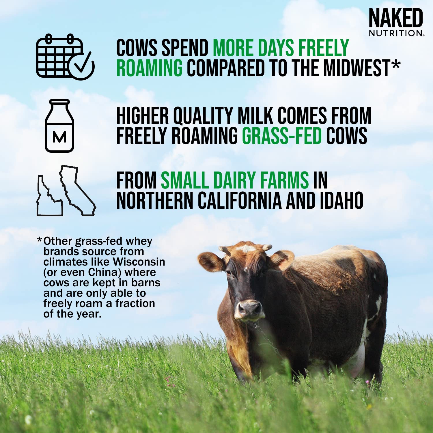 NAKED Whey Double Chocolate Grass Fed Whey Protein Powder, No GMO, No Soy NAKEDBuy Supplements Australia