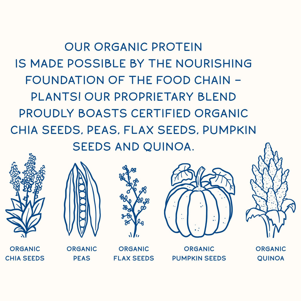 KOS Plant Based Protein Powder, Blueberry Muffin - Organic Pea Protein Superfood KOSBuy Supplements Australia
