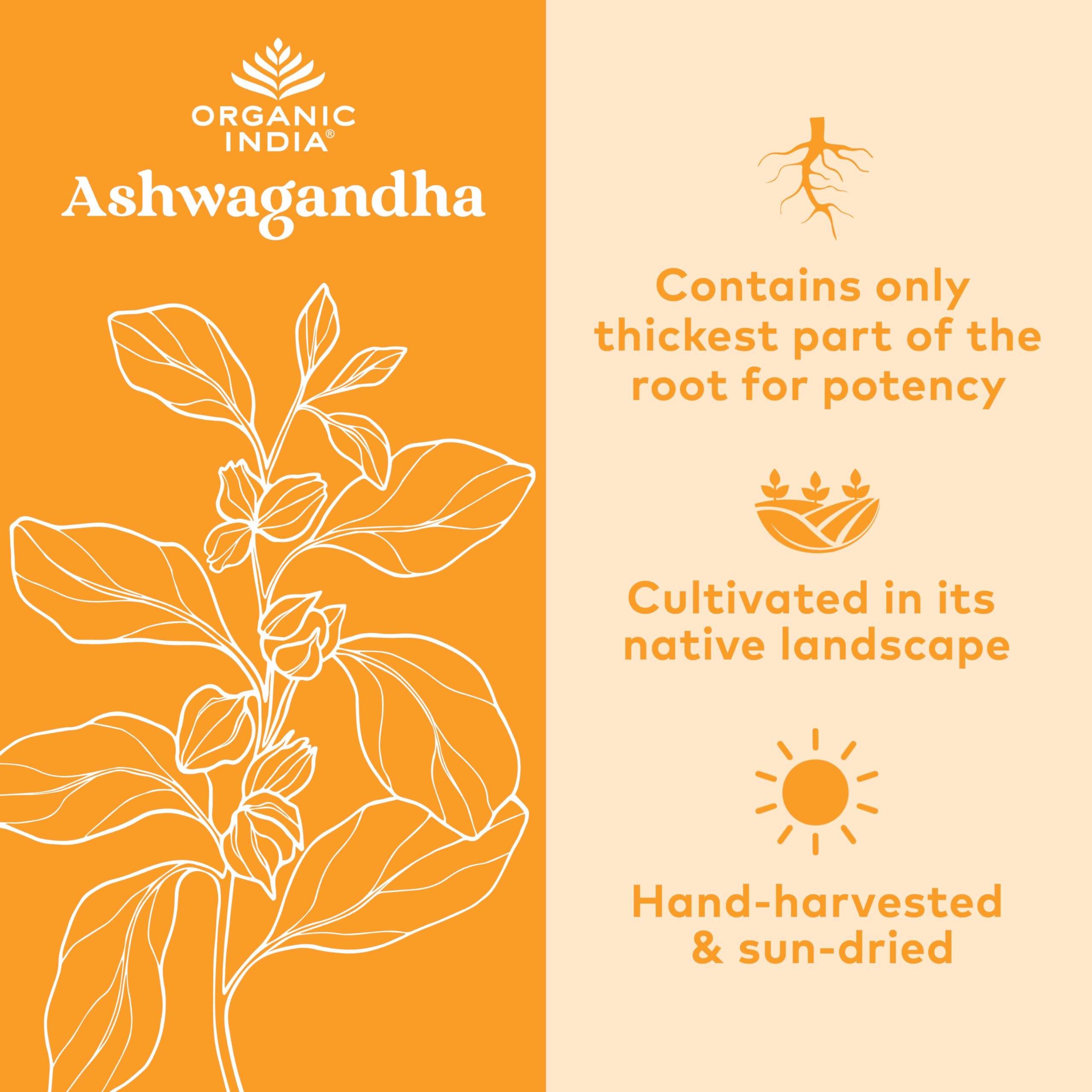 Organic India Ashwagandha Herbal Supplement - Stress Response Support, Vegan, Gluten Organic IndiaBuy Supplements Australia