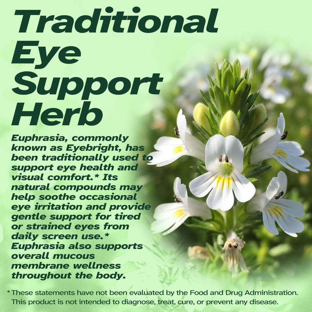 Vitalumina Eyebright Herbal Liquid with Organic Euphrasia, Lutein, Bilberry, Blueberry & Goji – Plant-Based Vegan Supplement for Adults – 4 fl oz VitaluminaBuy Supplements Australia