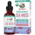 MaryRuth Organics Irish Sea Moss Liquid Drops | Chondrus Crispus | Wild Harvested | Organic Irish Moss Formulated for Adults & Kids Ages 14+ | Unflavored | Sugar Free | Vegan | Non-GMO | 1 Fl Oz MARYRUTH'SBuy Supplements Australia