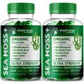 WELLNESS LABSRX Sea Moss Gummies, 3200mg Organic Seamoss, Irish Sea Moss