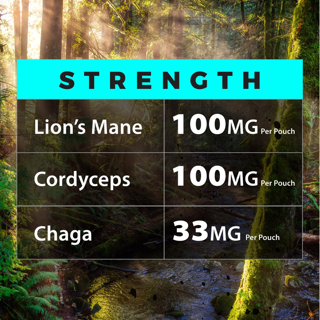 Fully Loaded Alpha Mushrooms - Adaptogen Nootropic Pouches (5-Pack, Mint) - - Lion's Mane, Cordyceps, & Chaga - 5 cans, 15 Pouches per can - Functional Mushrooms - Made in The USA Fully Loaded BullseyeBuy Supplements Australia