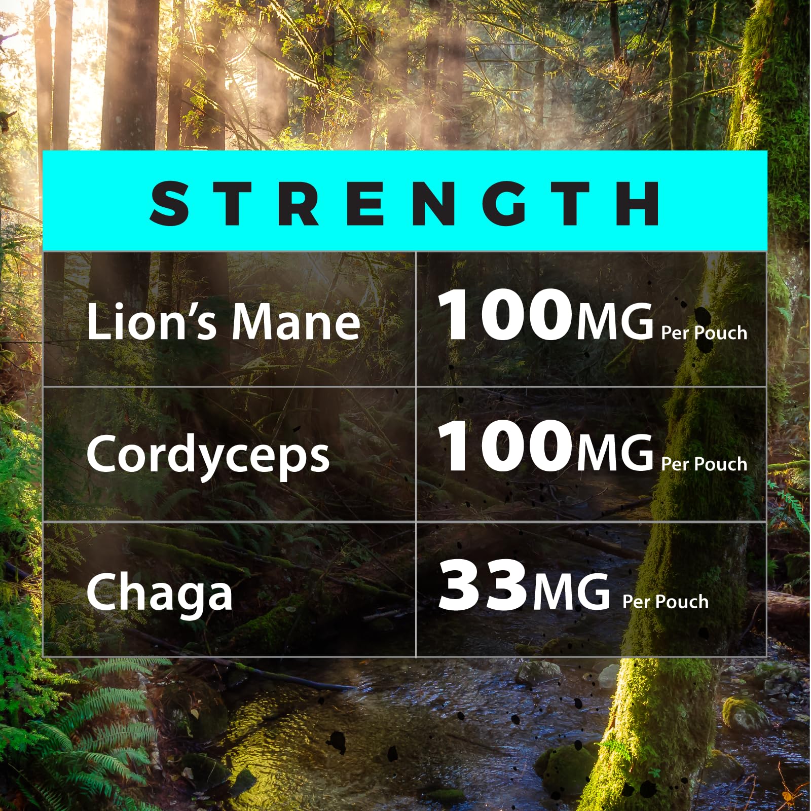 Fully Loaded Alpha Mushrooms - Adaptogen Nootropic Pouches (5-Pack, Mint) - - Lion's Mane, Cordyceps, & Chaga - 5 cans, 15 Pouches per can - Functional Mushrooms - Made in The USA Fully Loaded BullseyeBuy Supplements Australia