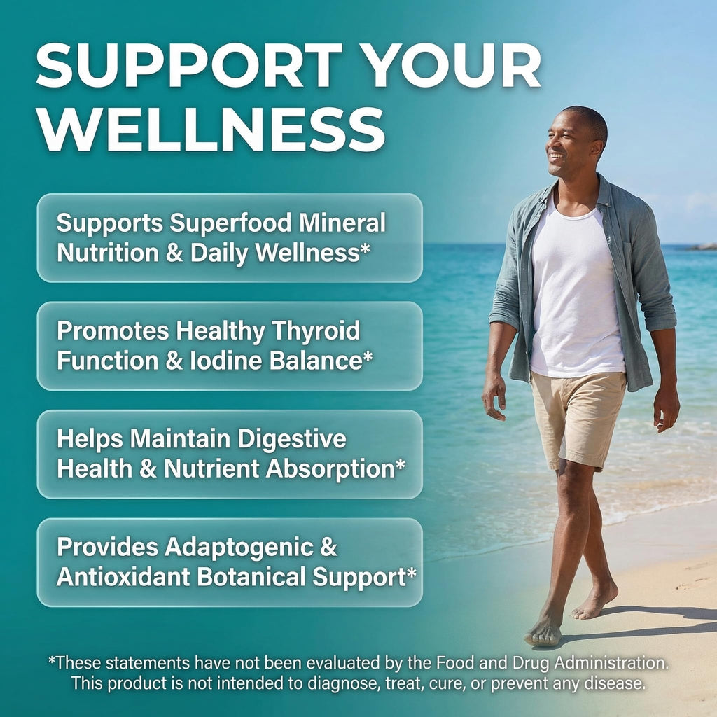 Clean Nutra Organic Sea Moss Capsules with Ashwagandha, Black Seed Oil, Burdock Root, Bladderwrack, Moringa, Chlorella, Spirulina, Turmeric, Elderberry, Amla – 90 Vegan Capsules – MiracleMin Clean NutraceuticalsBuy Supplements Australia