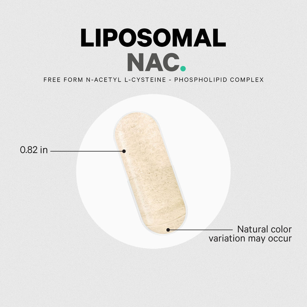 Codeage Liposomal NAC Supplement - N-Acetyl L-Cysteine Amino Acid - 2 Month Supply - Free-Form NAC - Phospholipid Complex - Vegan, Non-GMO, Gluten-Free, Dairy-Free - 120 Capsules CodeageBuy Supplements Australia