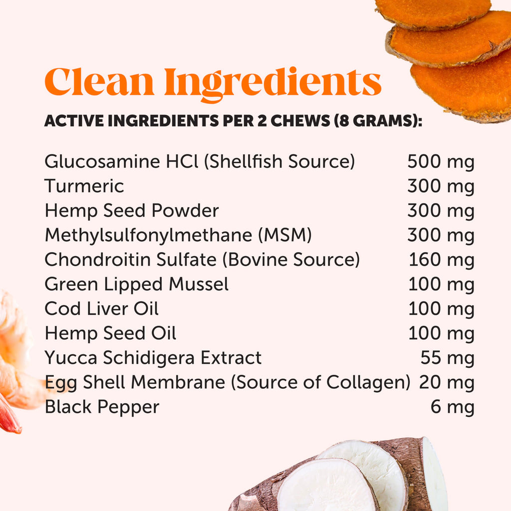 Hemp Hip & Joint Supplement for Dogs - Hemp Oil & Powder - Glucosamine Chondroitin for Dogs, Turmeric, MSM, Green-Lipped Mussel, Supports Mobility, May Reduce Discomfort (Bacon) Pet HonestyBuy Supplements Australia