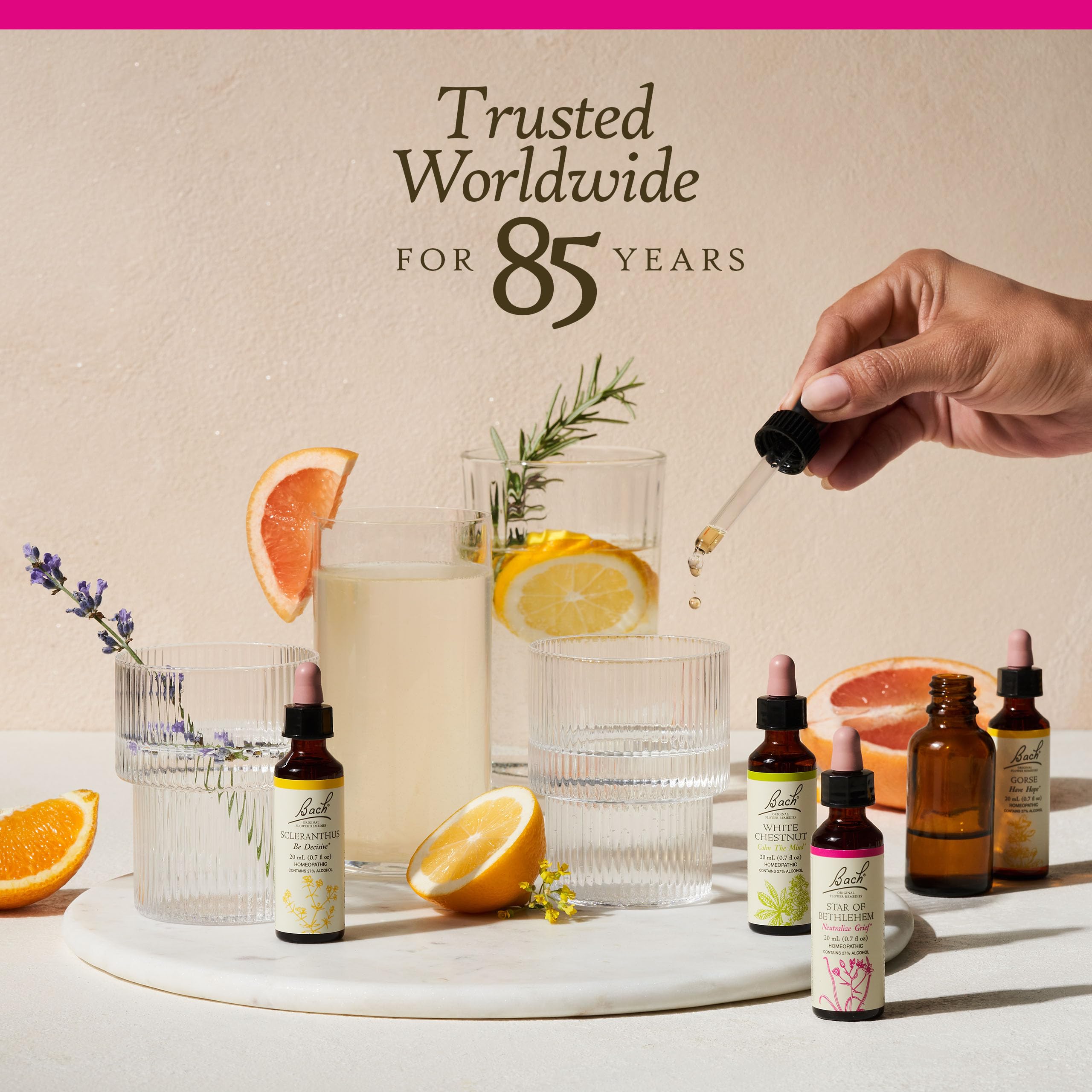 Bach Original Flower Remedies, Pine for Self Respect, Natural Homeopathic Flower Essence BachBuy Supplements Australia