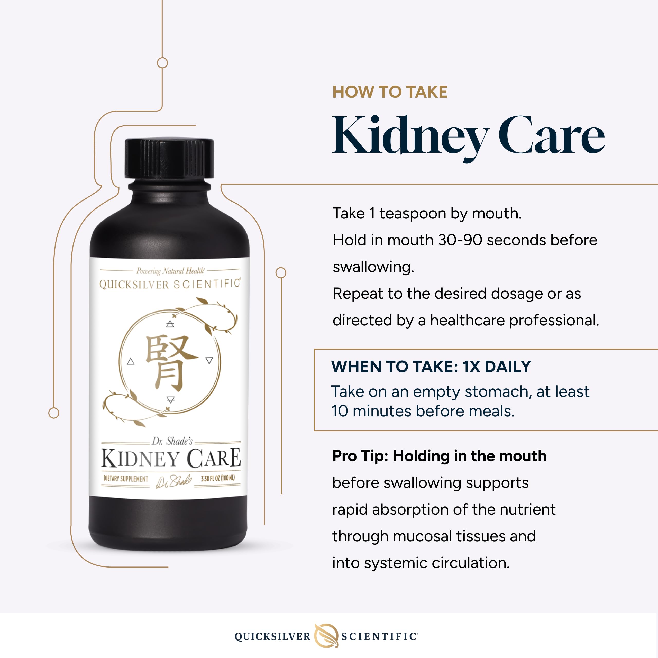 Quicksilver Scientific Kidney Care - Kidney Cleanse & Lymphatic Drainage Supplements - Astragaloside IV Extract, Zhu Ling, Goldenrod, Ferulic Acid, He Shou Wu & Dandelion Leaf (3.38oz / 100ml) Quicksilver ScientificBuy Supplements Australia
