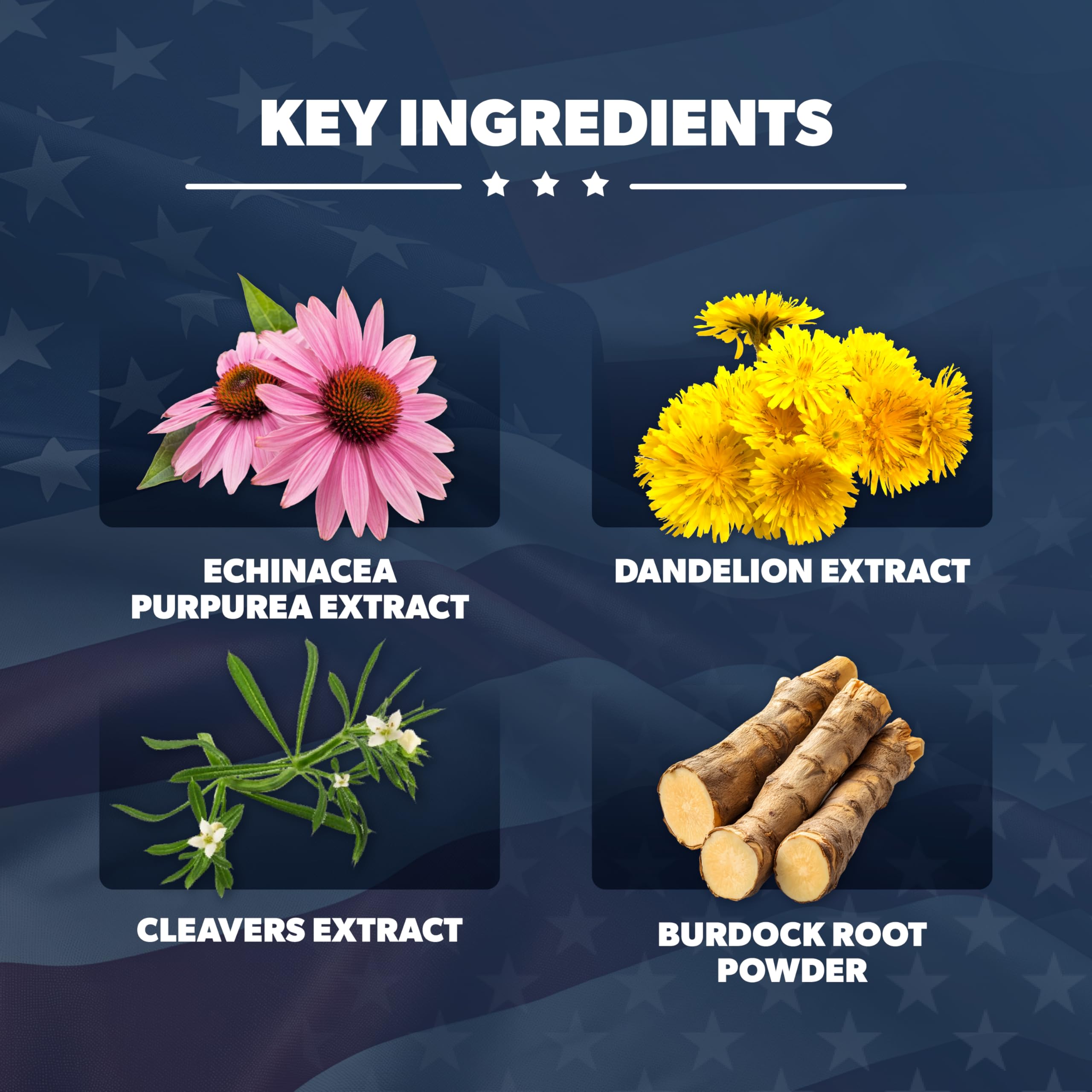AMERICAN VITALITY LymphaVive Lymphatic Drainage Supplements for Men & Women - Lymphatic Support with Bromelain, Echinacea, Burdock Root, Dandelion, Rutin, Kelp - 60 Capsules AMERICAN VITALITY buy supplements Au