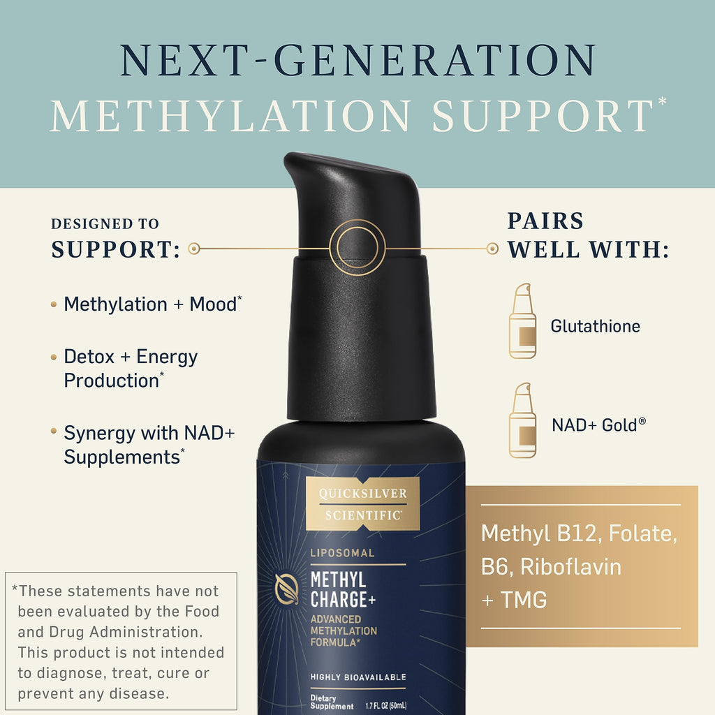 Quicksilver Scientific Methyl Charge - Methylation, Liver, Detox + Energy Supplement - Folate, Vitamin B12, Riboflavin, Vitamin B6 + TMG Supplement with Superior Absorption - Vegan B Vitamins (50ml) Quicksilver ScientificBuy Supplements Australia