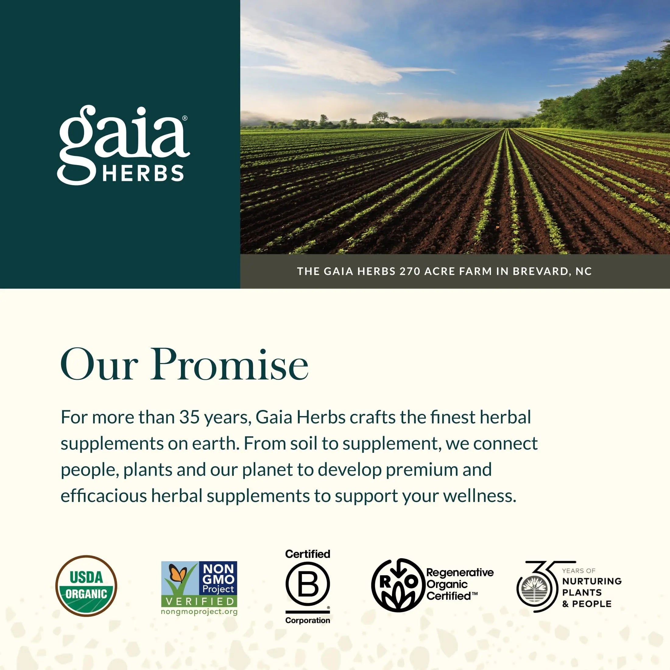 Gaia Herbs Ginger-Turmeric Postbiotic - Healthy Gut Support* - 60 Vegan Liquid Phyto-Caps (30 Servings) Gaia HerbsBuy Supplements Australia