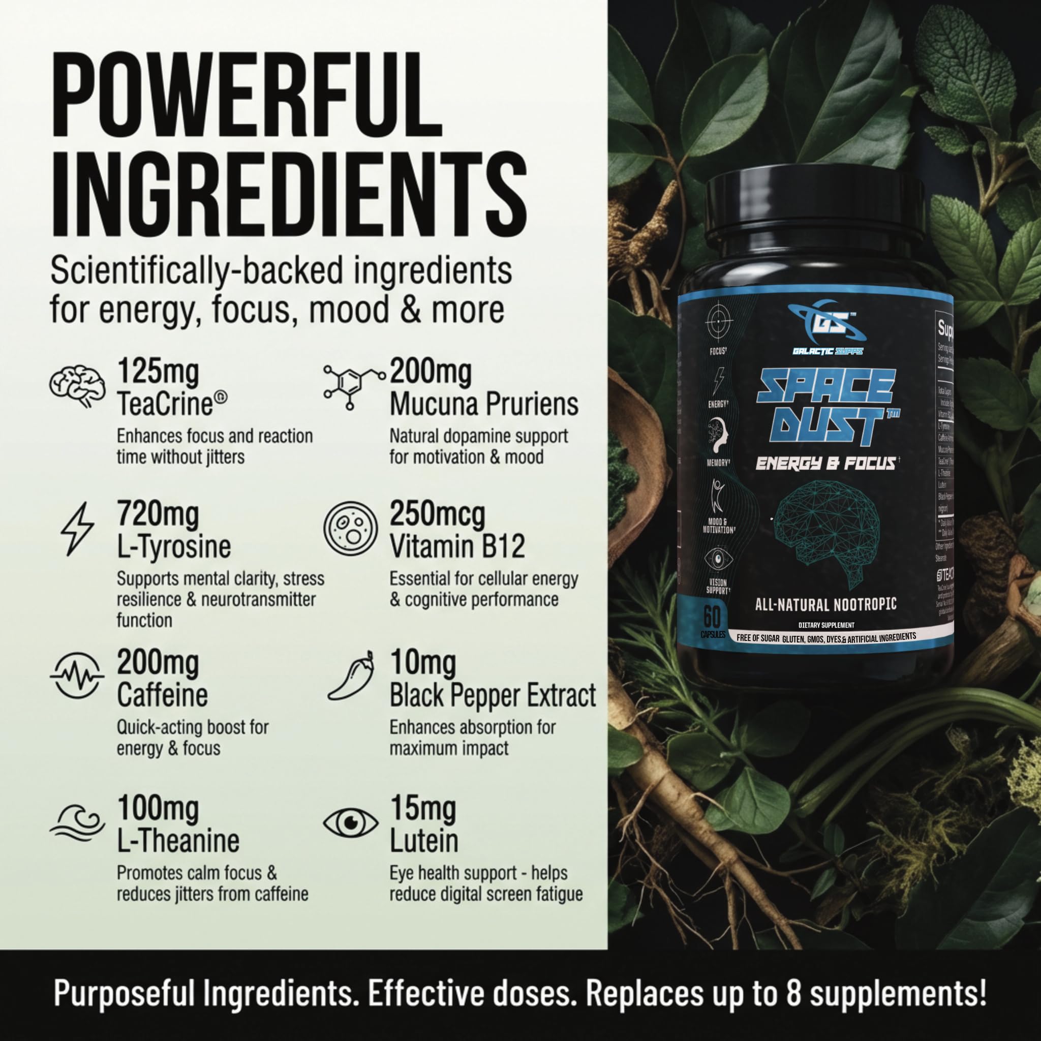 Space Dust Brain Supplements for Memory and Focus – Nootropic Focus Supplement for Brain Health & Mind Boost with TeaCrine, Caffeine, L-Tyrosine, L-Theanine – Cognitive Support Capsules, 60 Count GALACTIC SUPPSBuy Supplements Australia