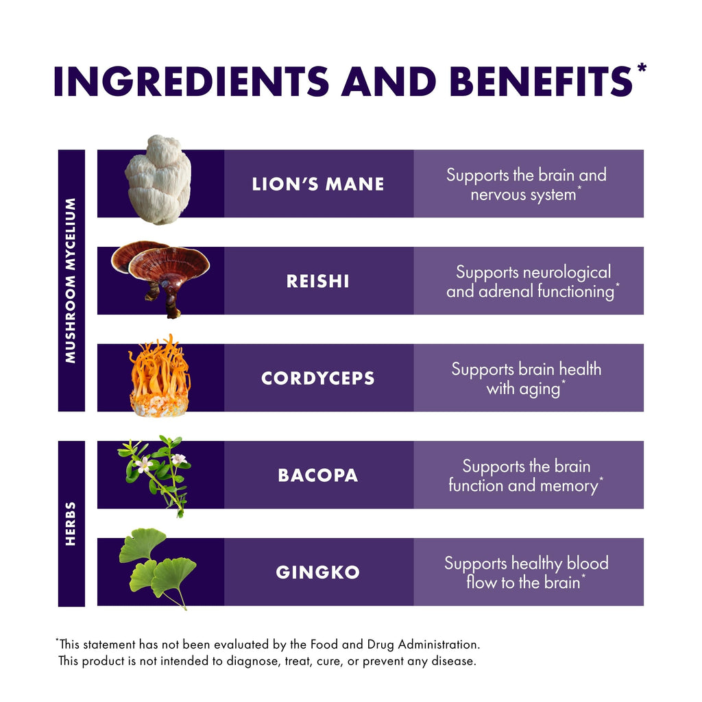 Host Defense MycoBotanicals Brain* Capsules - Brain Support Supplement with Lion's Mane, Reishi & Cordyceps Mushroom - Herbal Supplement for Memory & Focus Support - 60 Capsules Host DefenseBuy Supplements Australia