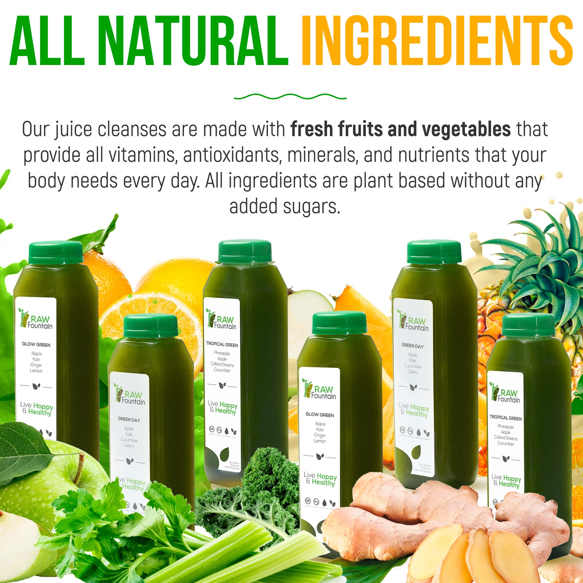 1 Day Green Juice Cleanse by Raw Fountain, All Natural Raw, Vegan Detox, Cold Pressed Raw FountainBuy Supplements Australia
