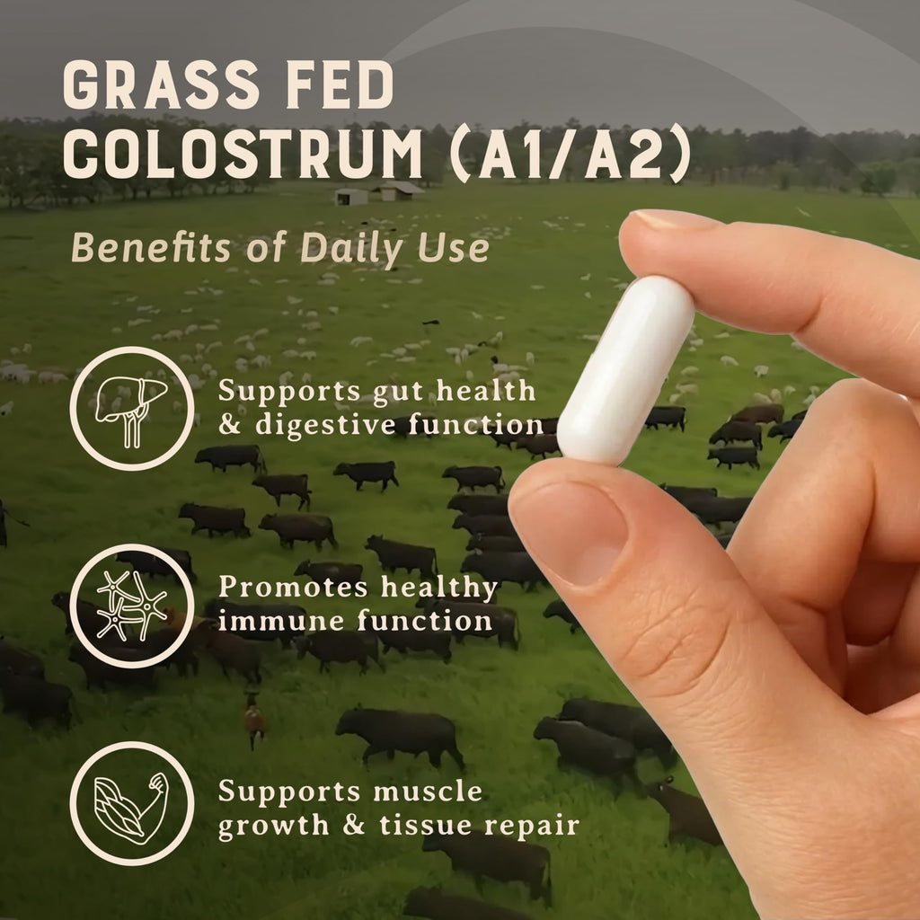 HEART & SOIL 100% Grass Fed & Finished Colostrum Supplement from Regenerative Cattle for Gut, Muscle & Immune Health – 3000mg Bovine Colostrum Capsules - Gut Health for Men & Women –180 Capsules HEART & SOIL buy supplements Au