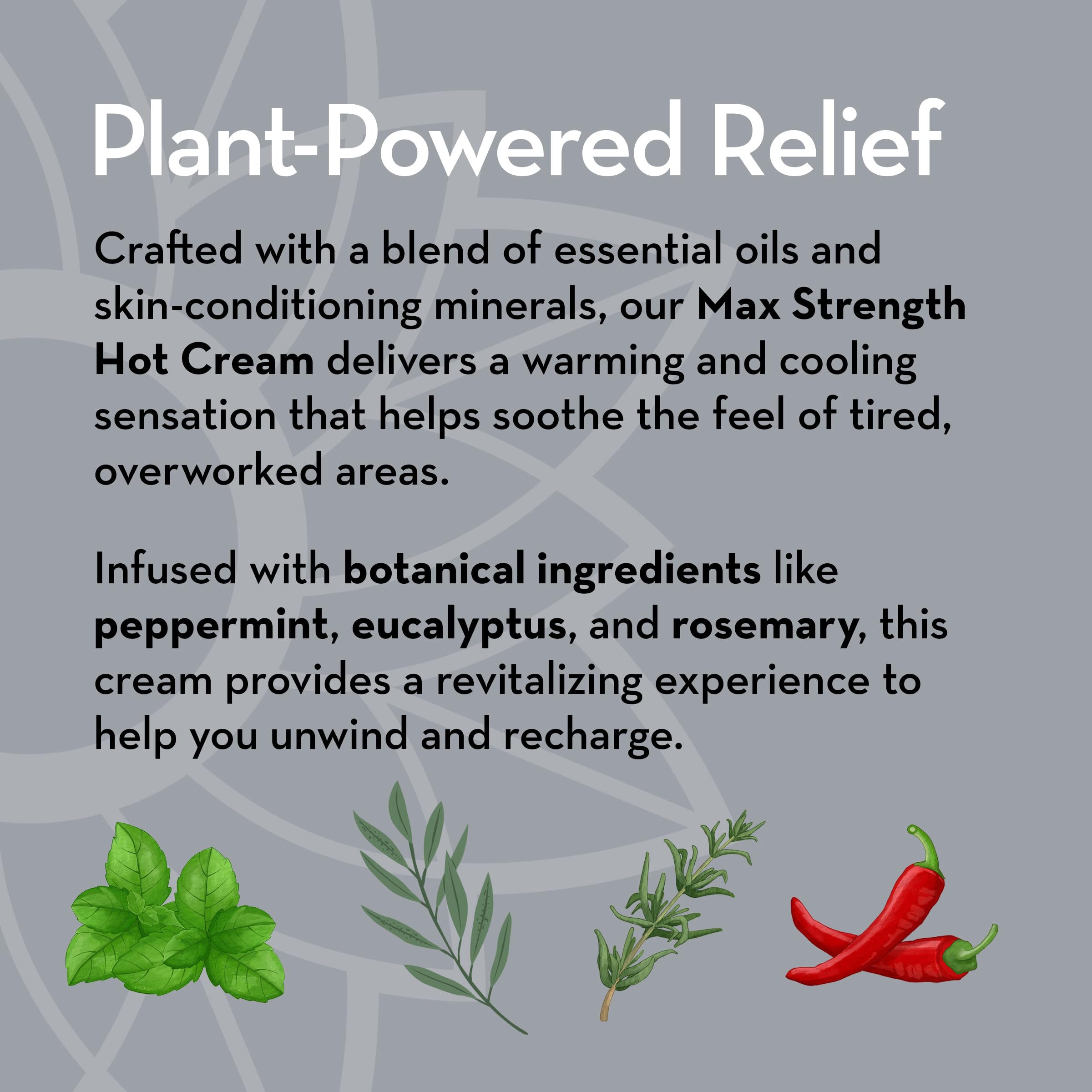 Pure Body Naturals Max Strength Hot Cream – Warming & Cooling Cream with Capsaicin and Menthol – Soothing Comfort for Overworked Muscles – 8.8 oz Pure Body NaturalsBuy Supplements Australia