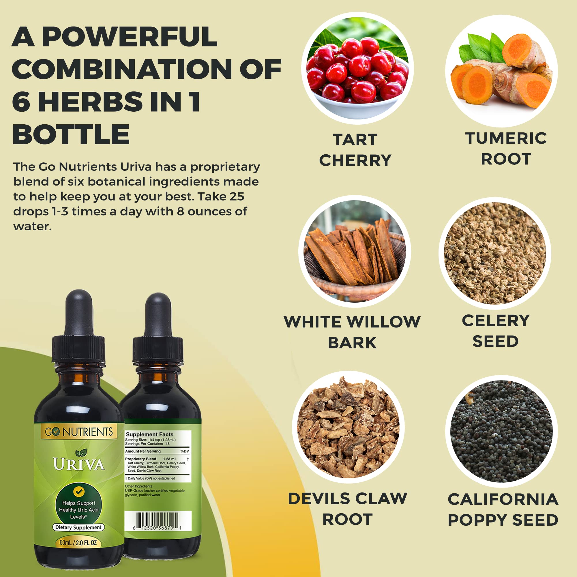 Go Nutrients Uriva Advanced Uric Acid Flush Cleanse with Tart Cherry Extract Celery Seed Extract Turmeric Go NutrientsBuy Supplements Australia