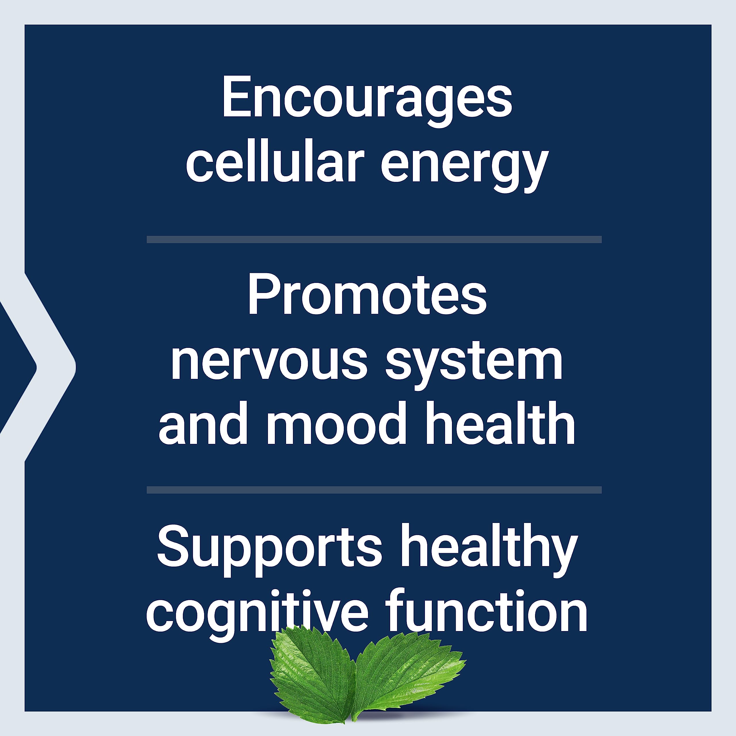 Life Extension Acetyl-L-Carnitine, Acetyl-L-Carnitine, vitamin C, Brain, mood & nerve health Life ExtensionBuy Supplements Australia