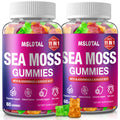 MSLOTAL Irish Sea Moss Gummies with Black Seed Oil, Ashwagandha Bladderwrack and Burdock Root, Organic Sea Moss Gummies for Women and Men with Shilajit, Immune Support, Vegan, 120 Gummies Totalss MSLOTALBuy Supplements Australia