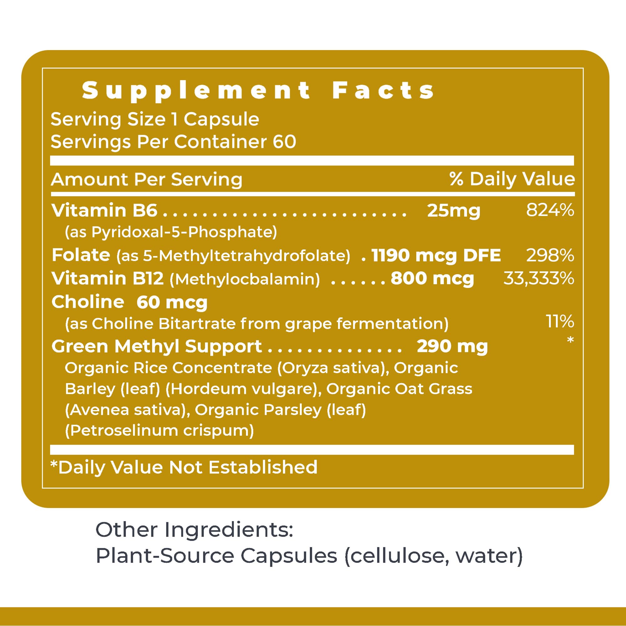 Premier Research Labs Phyto Methylate - B Vitamin Supplement - Supports Methylation, Detox, Brain & Heart Health - 5-MTHF & P5P - 60 Plant-Source Capsules Premier Research LabsBuy Supplements Australia