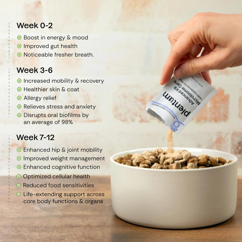 Daily Prebiotic + Postbiotic Dog Supplement Powder | 12-in-1 Support for Gut, Joints, Allergy, Immunity, Calming & Oral Health | Human-Grade Ingredients, No Artificial Flavors-No Fillers - 30 Sachets PlentumBuy Supplements Australia