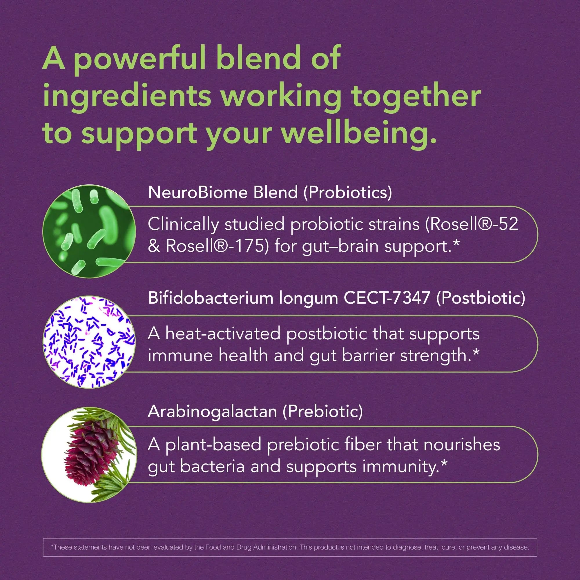 BIOLIGENT Tribiotic+ Prebiotic, Probiotic and Postbiotic Supplement for Women & Men, Gut Health, Immune Support, Bloating Relief, Daily Microbiome and Digestive Support, 30 Capsules, 30 Day Supply BIOLIGENTBuy Supplements Australia