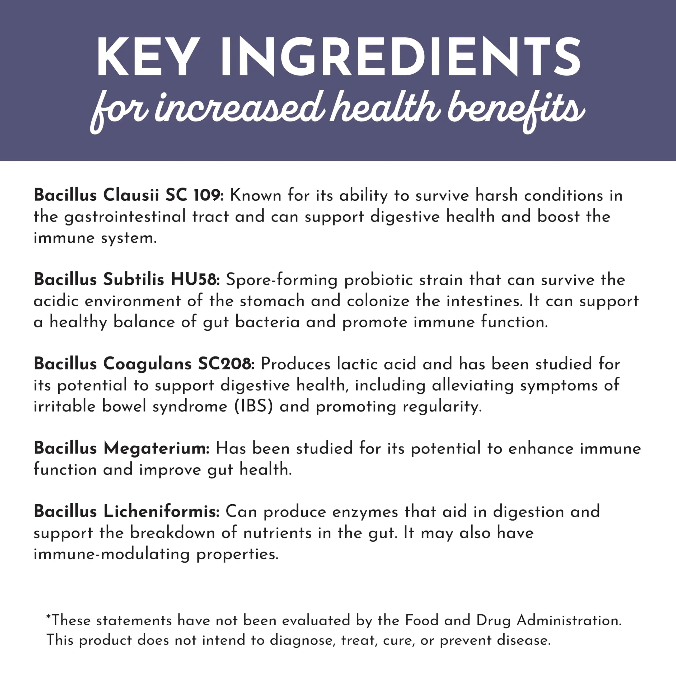 JUST INGREDIENTS Elderberry Lemonade 3-in-1 Probiotic Complex - Prebiotics, Probiotics & Postbiotics - 30 Sticks JUST INGREDIENTSBuy Supplements Australia