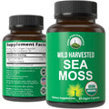 Organic Sea Moss Capsules. Wild Harvested Sea Moss Raw Organic Vegan Supplement from Red Algae Seaweed. 100% Whole Extract Raw Irish SeaMoss Superfood Pills. for Gut, Respiratory, Immune Support. Peak PerformanceBuy Supplements Australia