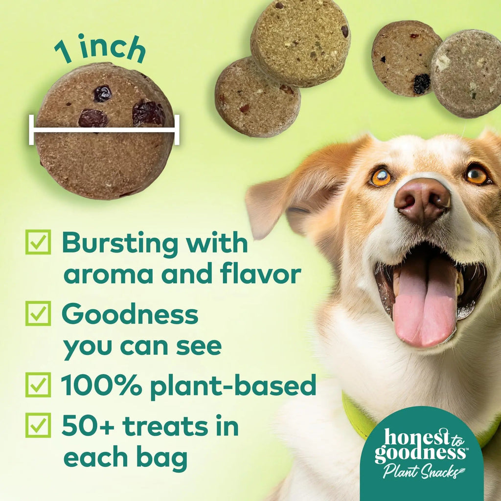 Honest to Goodness Plant Snacks Dog Treats, Enriched with Omega 3s & Postbiotics, 8oz Variety Pack, 6 Bags Honest to GoodnessBuy Supplements Australia