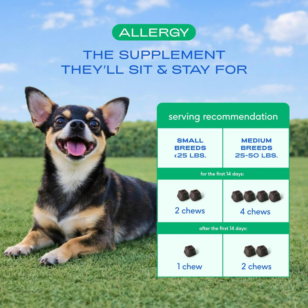 Native Pet Dog Allergy Chews - Dog Allergy Relief for Medium Breeds - Supports Seasonal Itch Relief, Healthy Immune Function & Reduces Sneezing - Colostrum, Spirulina, & Probiotics - 30 Days Supply Native PetBuy Supplements Australia