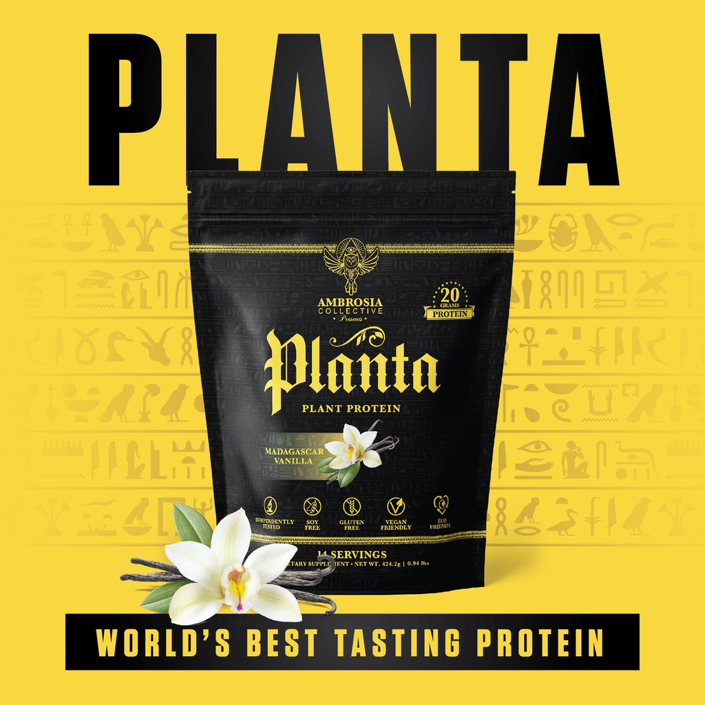 Ambrosia Plant Based Protein Powder 20g | Clean Vegan Pea Protein Powder | Gluten & Dairy Free, Keto Friendly, No Added Sugar | 14 Servings | Vanilla Ambrosia buy supplements Au
