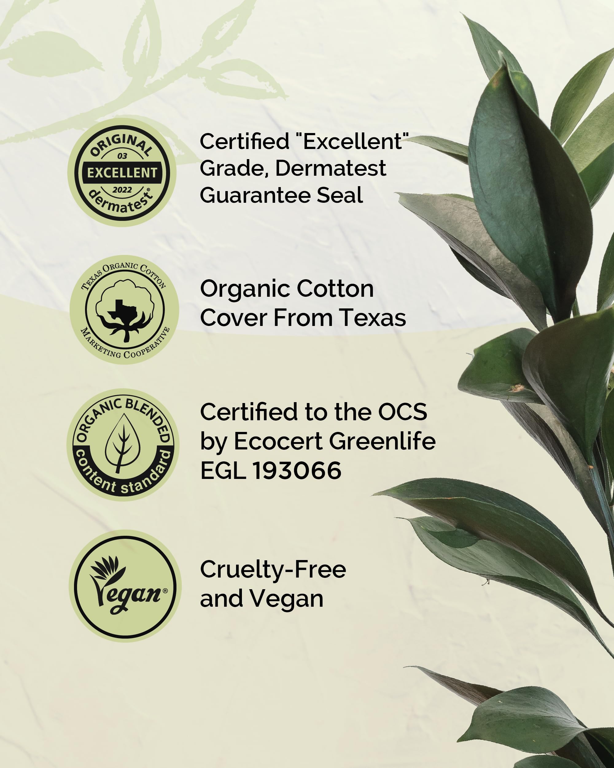 LABON Premium Vegan Organic Sanitary Pads (Regular, 25cm, 32 Counts) - 100% Organic Cotton Cover OCBONBuy Supplements Australia