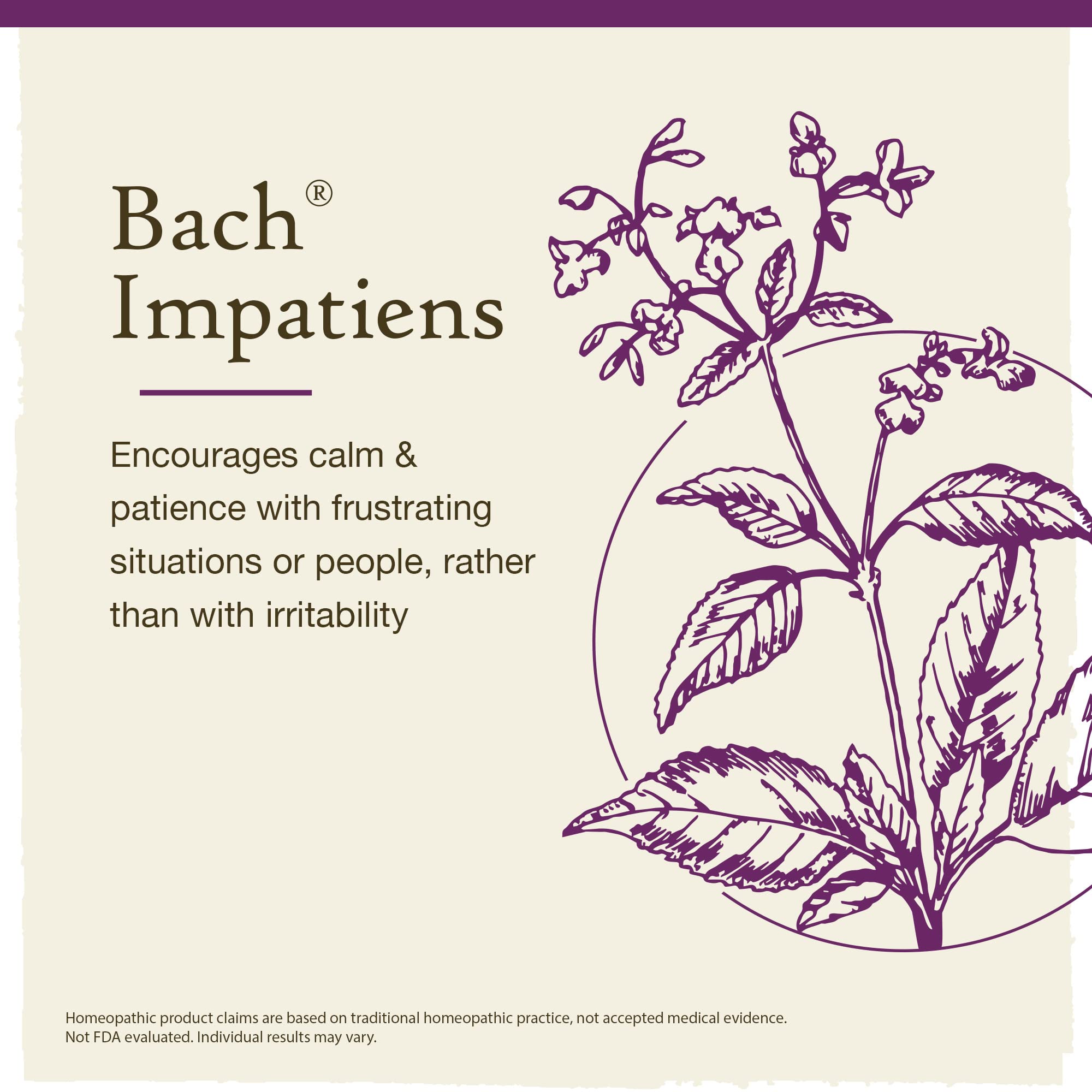 Bach Original Flower Remedies, Impatiens for Patience (Non-Alcohol Formula), Natural Homeopathic BachBuy Supplements Australia