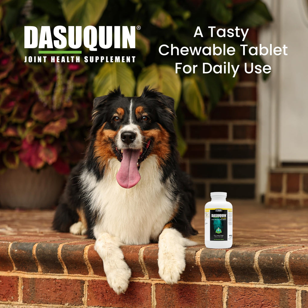 Nutramax Dasuquin for Large Dogs, Joint Health Supplement, Contains Glucosamine for Dogs, Plus Chondroitin, ASU, MSM and More, Supports Healthy Joints, Chewable Tablets, 150 Count Nutramax LaboratoriesBuy Supplements Australia