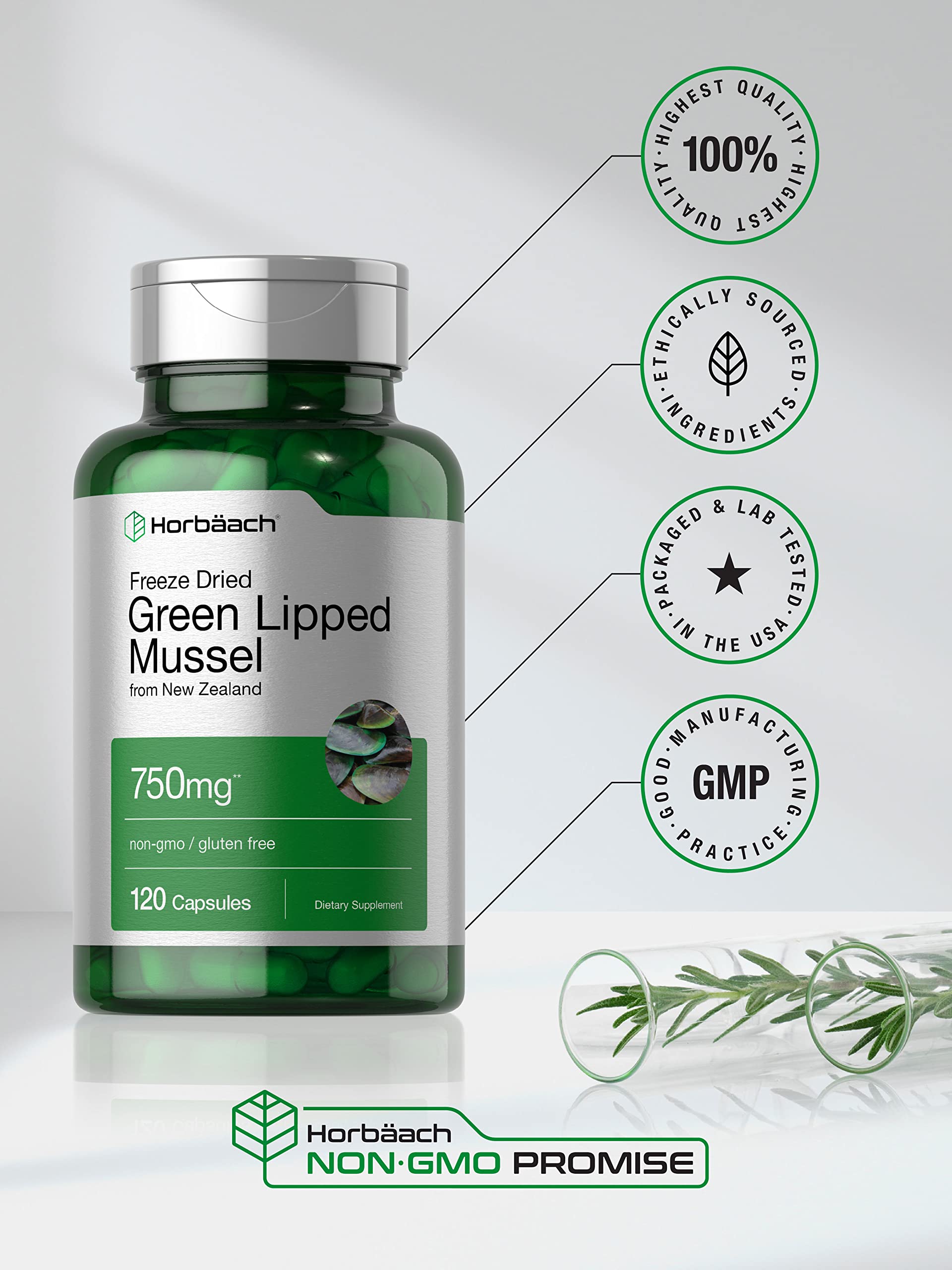 Green Lipped Mussel | 750 mg | 120 Capsules | from New Zealand | Premium Freeze Dried HorbäachBuy Supplements Australia