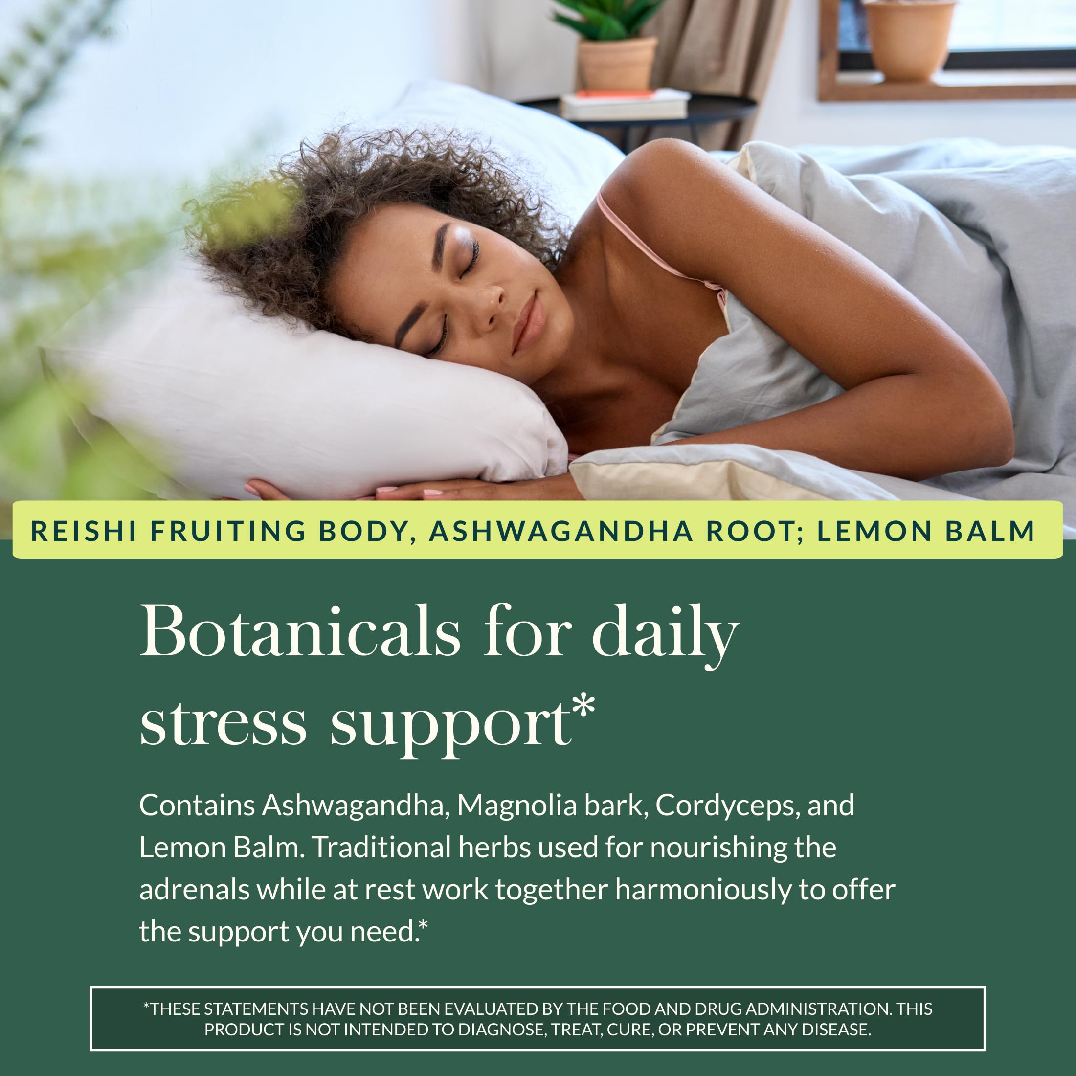 Gaia Herbs Adrenal Health Daily Support, Help Maintain Healthy Energy & Stress Levels*,120 Liquid Phyto-Caps Adrenal Health Nightly Restore, 120 Liquid Phyto-Caps - Bundle Gaia Herbs buy supplements Au