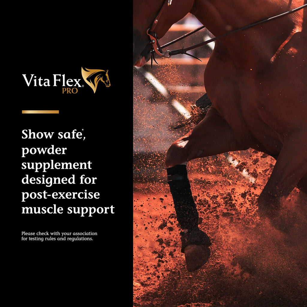 Vita Flex Pro Recovery by the Makers of Lactanase, Post Performance Horse Supplements 40 g, Show Safe Muscle Recovery Supplements, Amino Acids for Horses, Strength & Joint Health Vita FlexBuy Supplements Australia