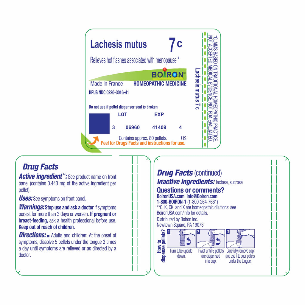 Boiron Lachesis Mutus 7C for Hot Flashes from Menopause - 80 Pellets BoironBuy Supplements Australia